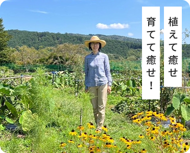 イメージ画像
