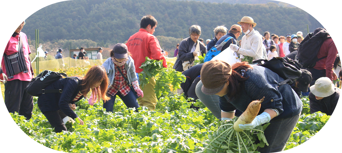 大仁瑞泉郷「食・農・健康フェス」去年の様子（写真）